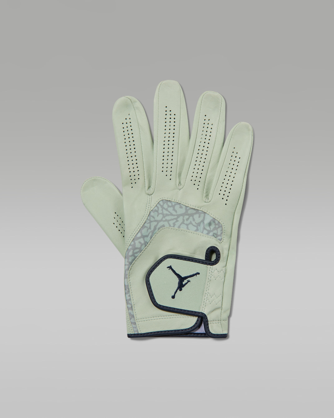Jordan Tour Regular Golf Glove (Right) - Pistachio Frost/Pistachio Frost/Obsidian