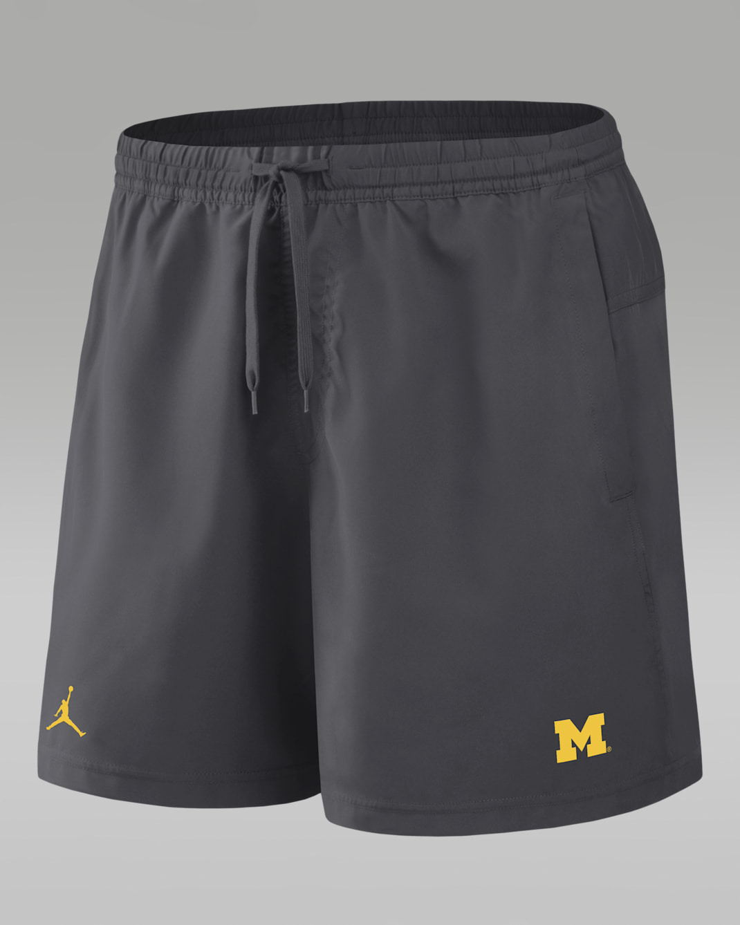 Michigan Primetime Primary Logo Men's Jordan Brand Dri-FIT College Form Shorts - Anthracite