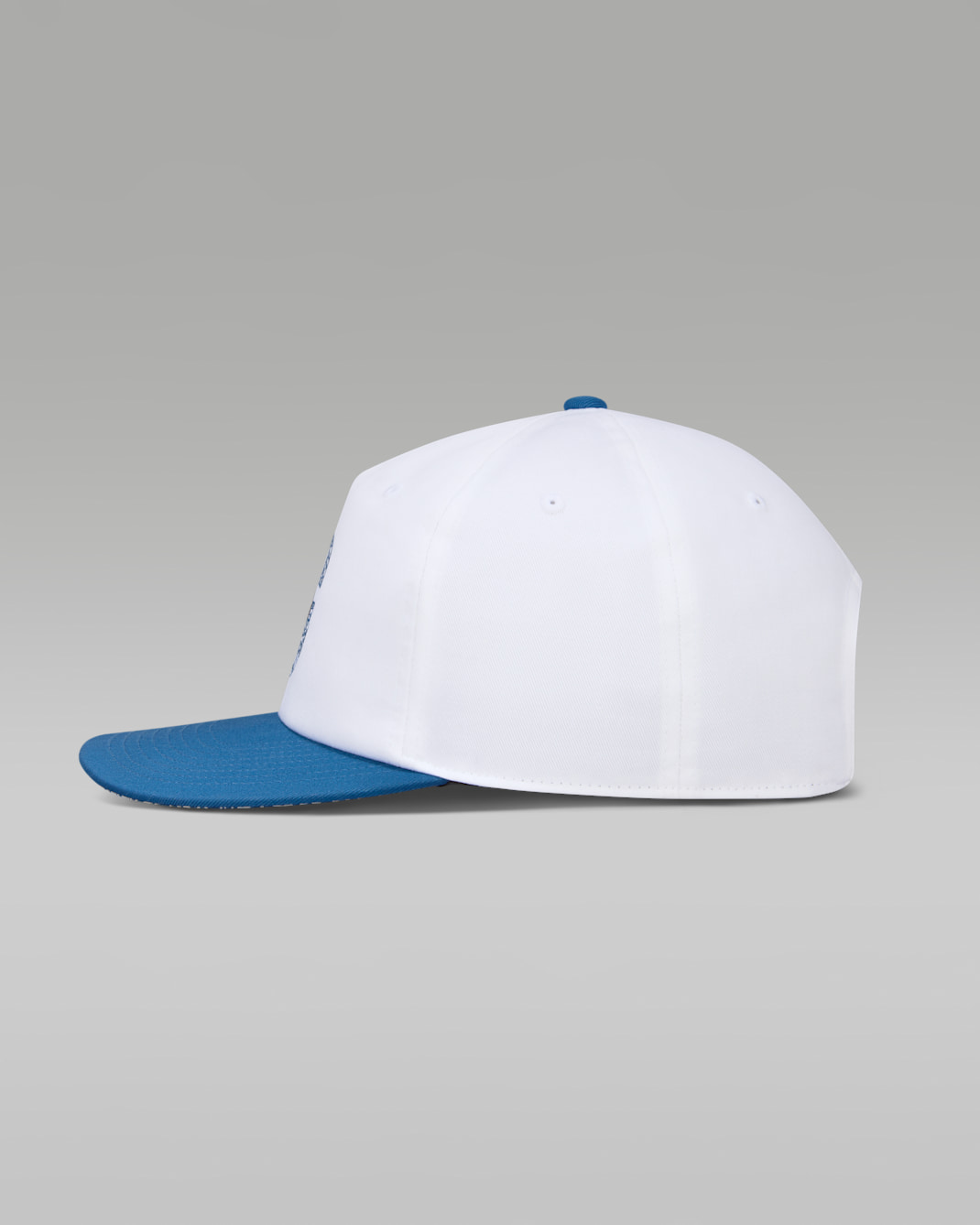 Jordan Pro "True Blue" Adjustable Cap