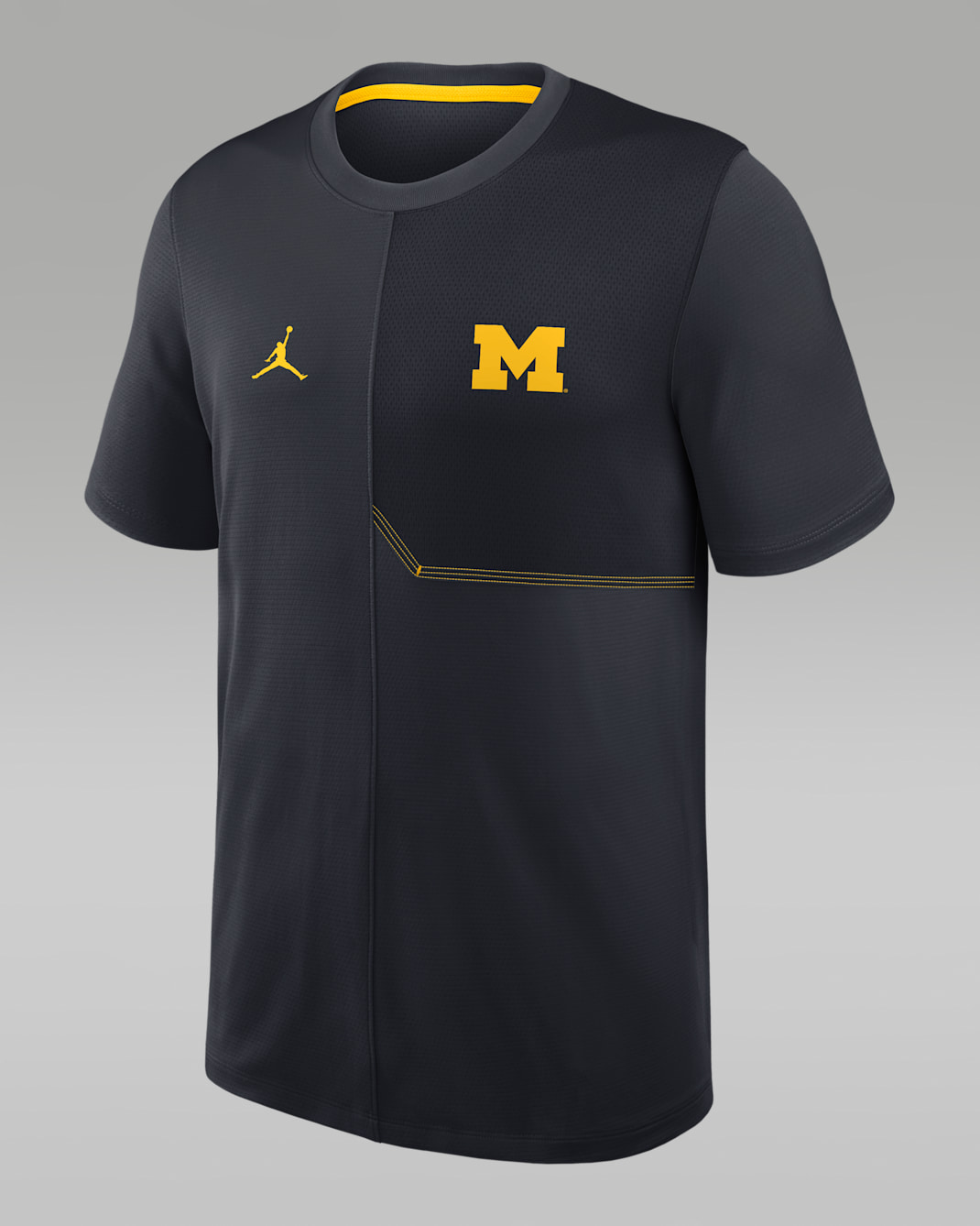 Michigan Sideline Coach Men's Jordan Brand Dri-FIT College Top - Pitch Blue