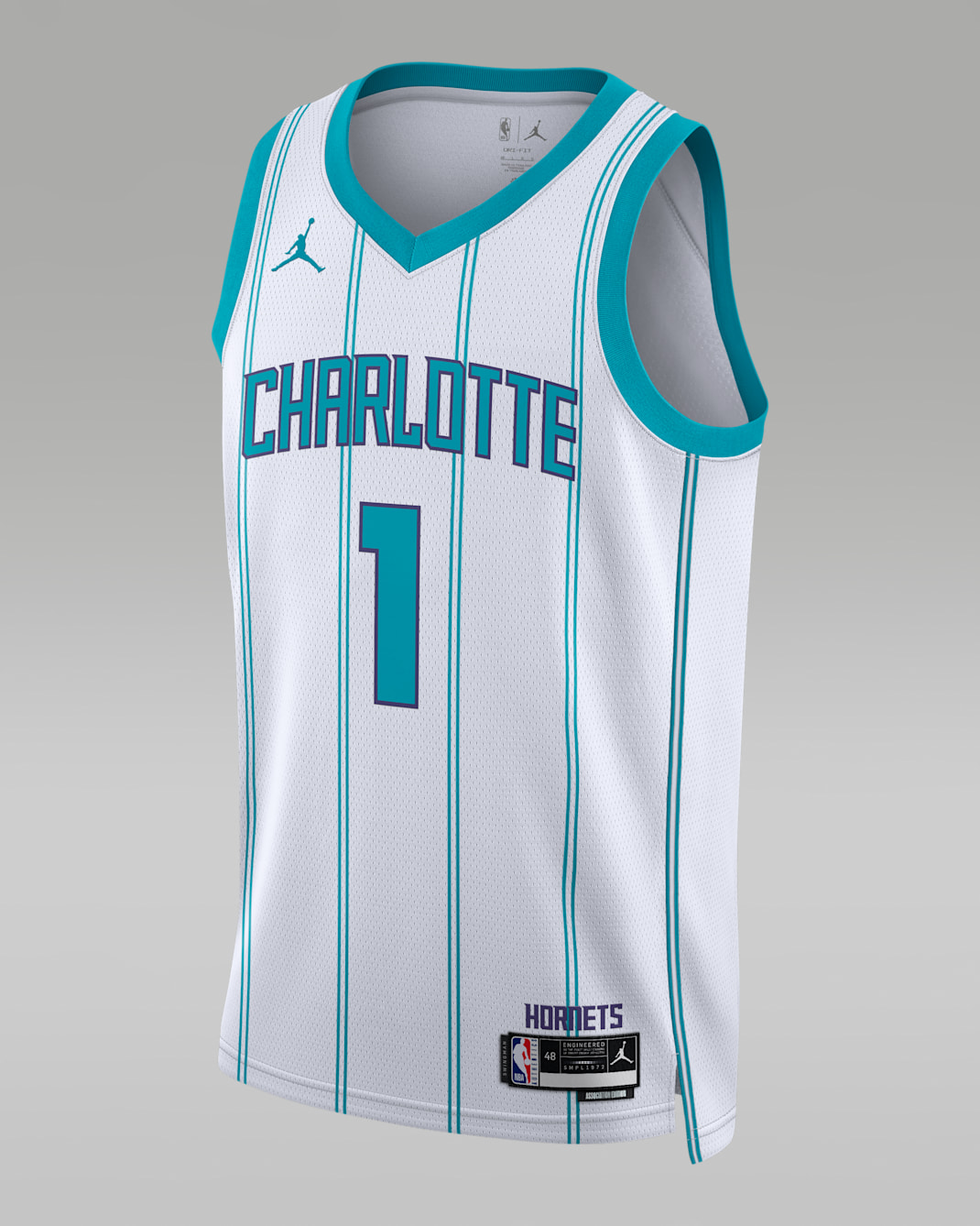 Charlotte Hornets Association Edition Men's Jordan Dri-FIT NBA Swingman Jersey - White