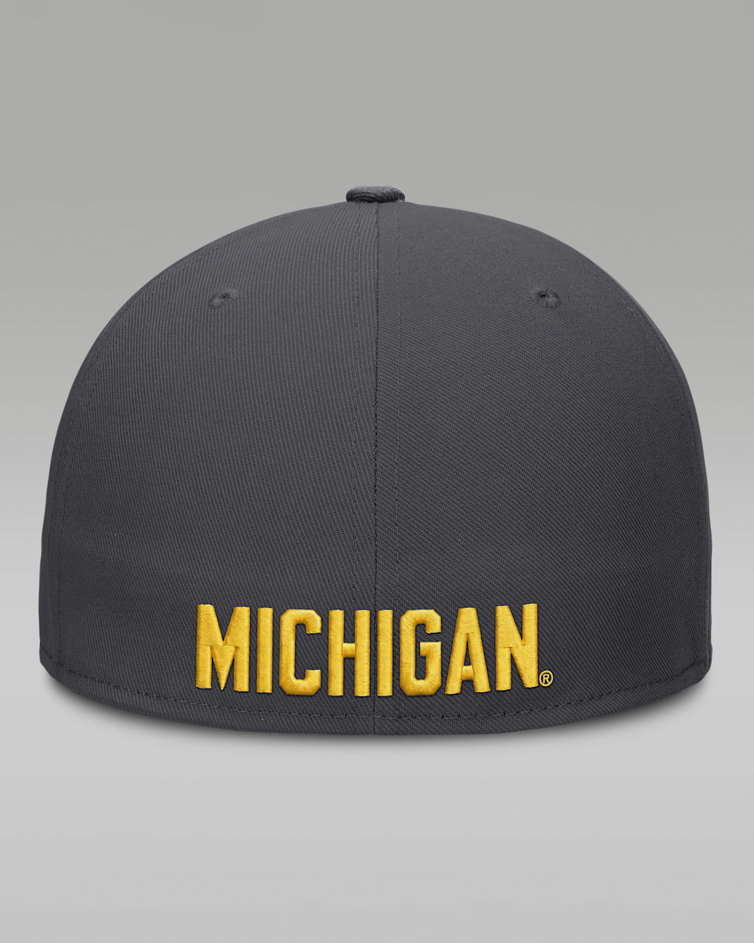 Michigan Pro Men's Jordan Brand Dri-FIT College Fitted Hat
