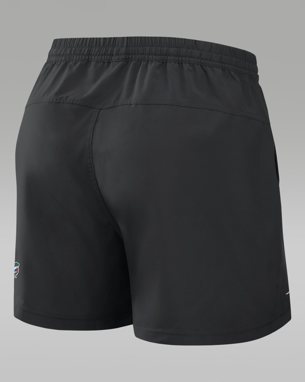 Florida Primetime Primary Logo Men's Jordan Brand Dri-FIT College Form Shorts