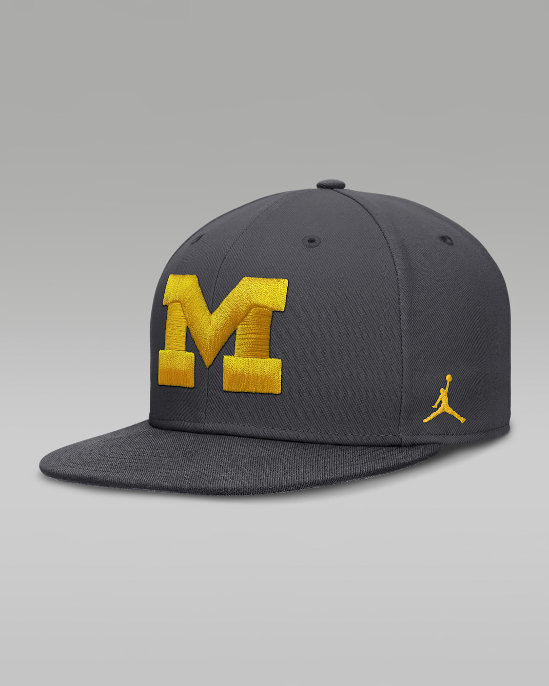 Michigan Pro Men's Jordan Brand Dri-FIT College Fitted Hat - Anthracite