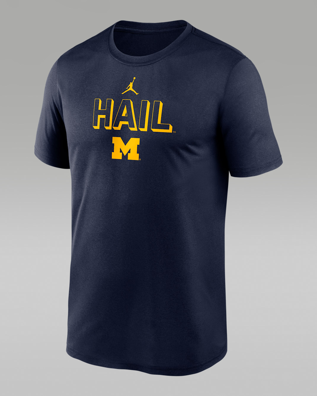 Michigan Sideline Legend Men's Jordan Brand Dri-FIT College T-Shirt - Navy