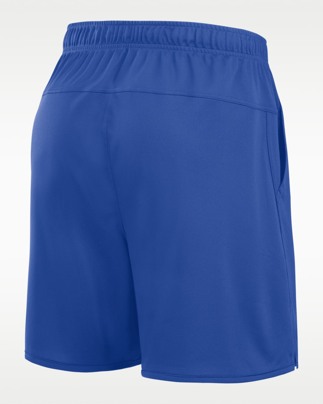 Florida Totality Men's Nike Dri-FIT College Shorts