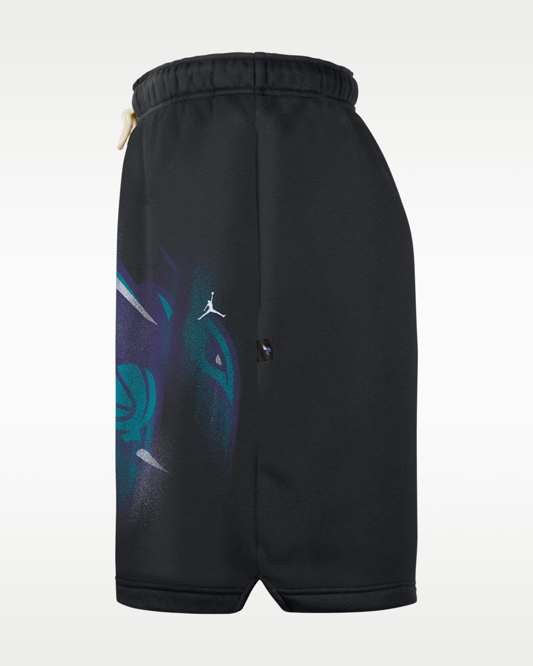Charlotte Hornets Standard Issue Men's Fleece Basketball Shorts