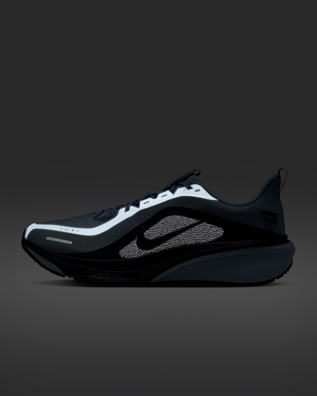 Nike Pegasus 42 GORE-TEX Men's Waterproof Road Running Shoes