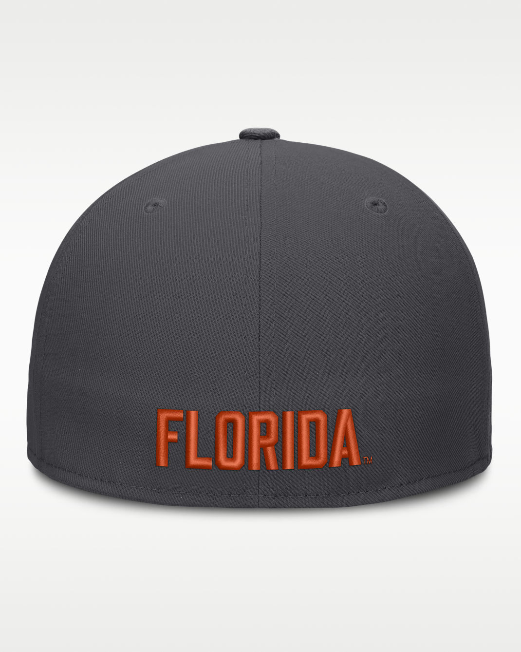 Florida Pro Men's Jordan Brand Dri-FIT College Fitted Hat