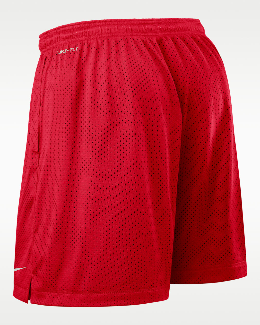 Georgia Sideline Reversible Men's Nike Dri-FIT College Shorts
