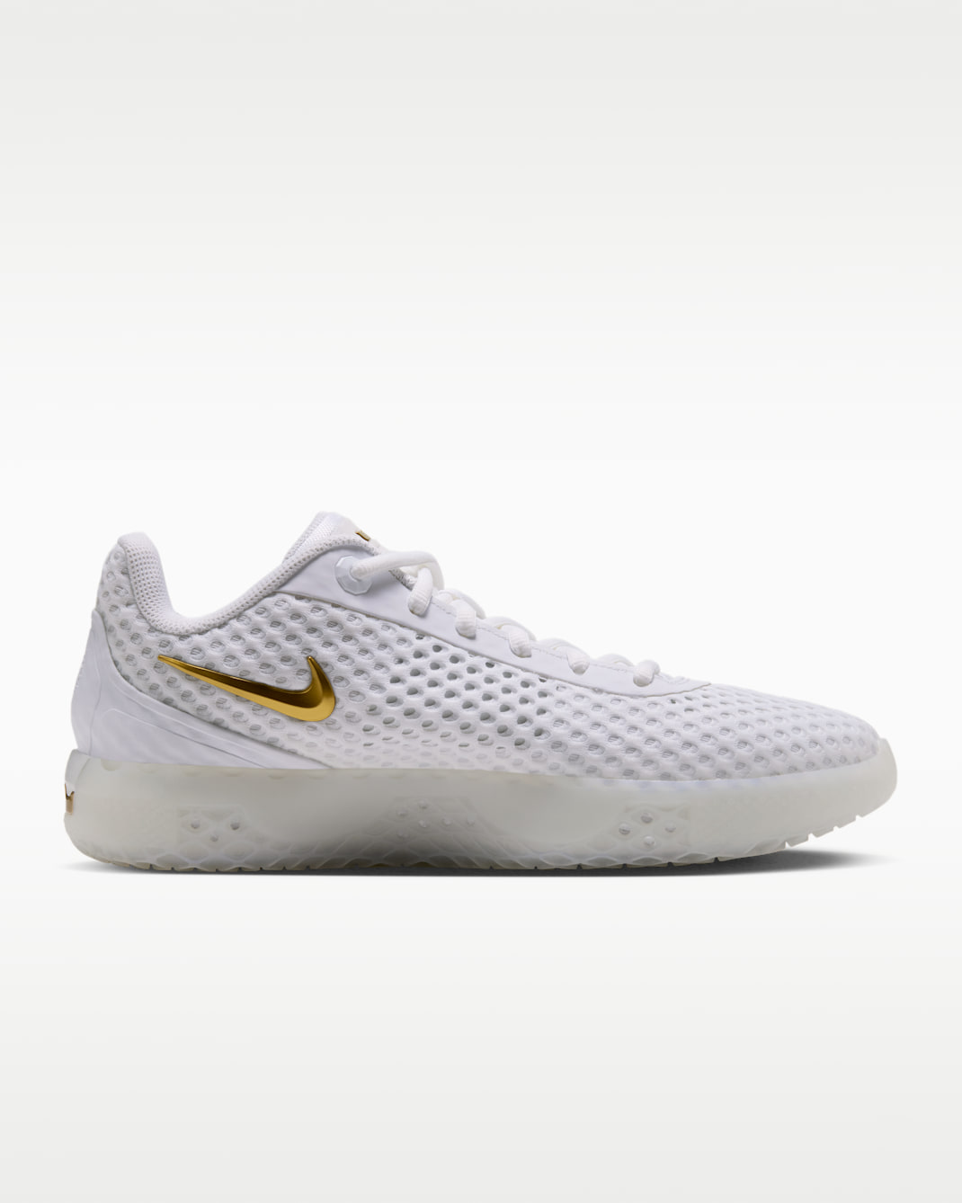 LeBron Witness X Basketball Shoes