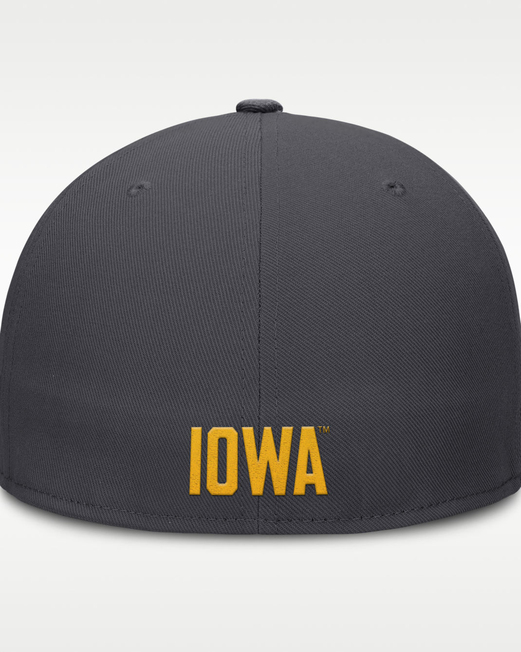 Iowa Pro Men's Nike Dri-FIT College Fitted Hat