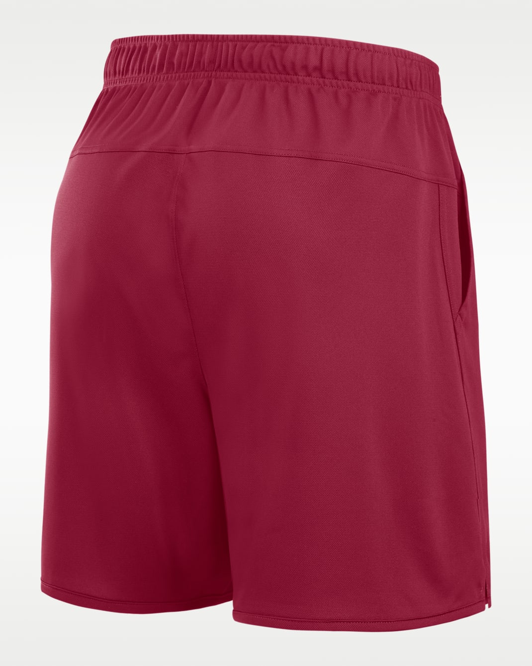 Florida State Totality Men's Nike Dri-FIT College Shorts