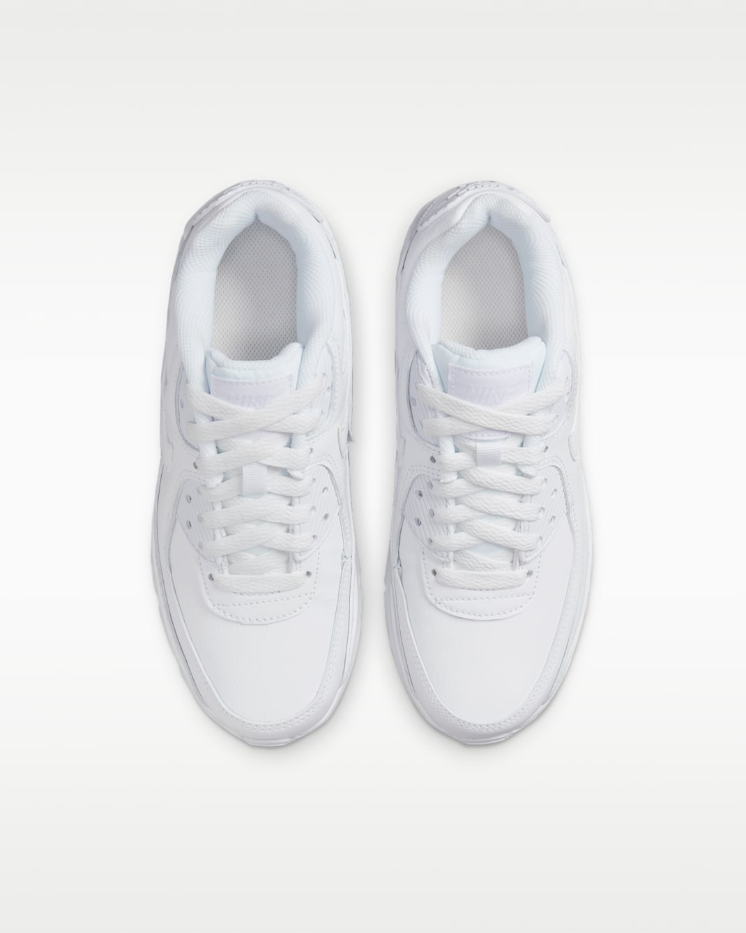Nike Air Max 90 LTR Big Kids’ Shoes
