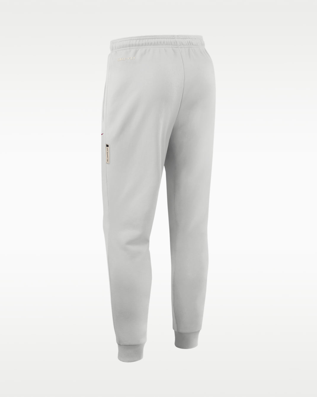 Florida State Sideline Standard Issue Men's Nike Dri-FIT College Taper Pants