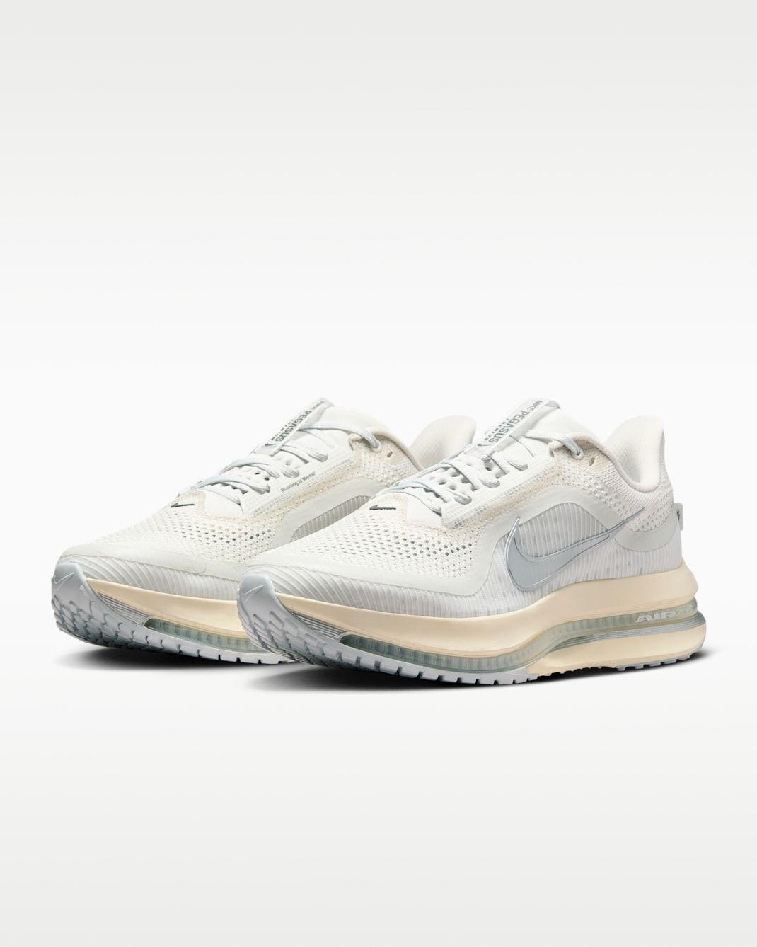 Giày chạy bộ đường trường cao cấp Nike Pegasus dành cho nam - Màu bạch kim/Xám khói/Xám sắt/Bạc phản quang