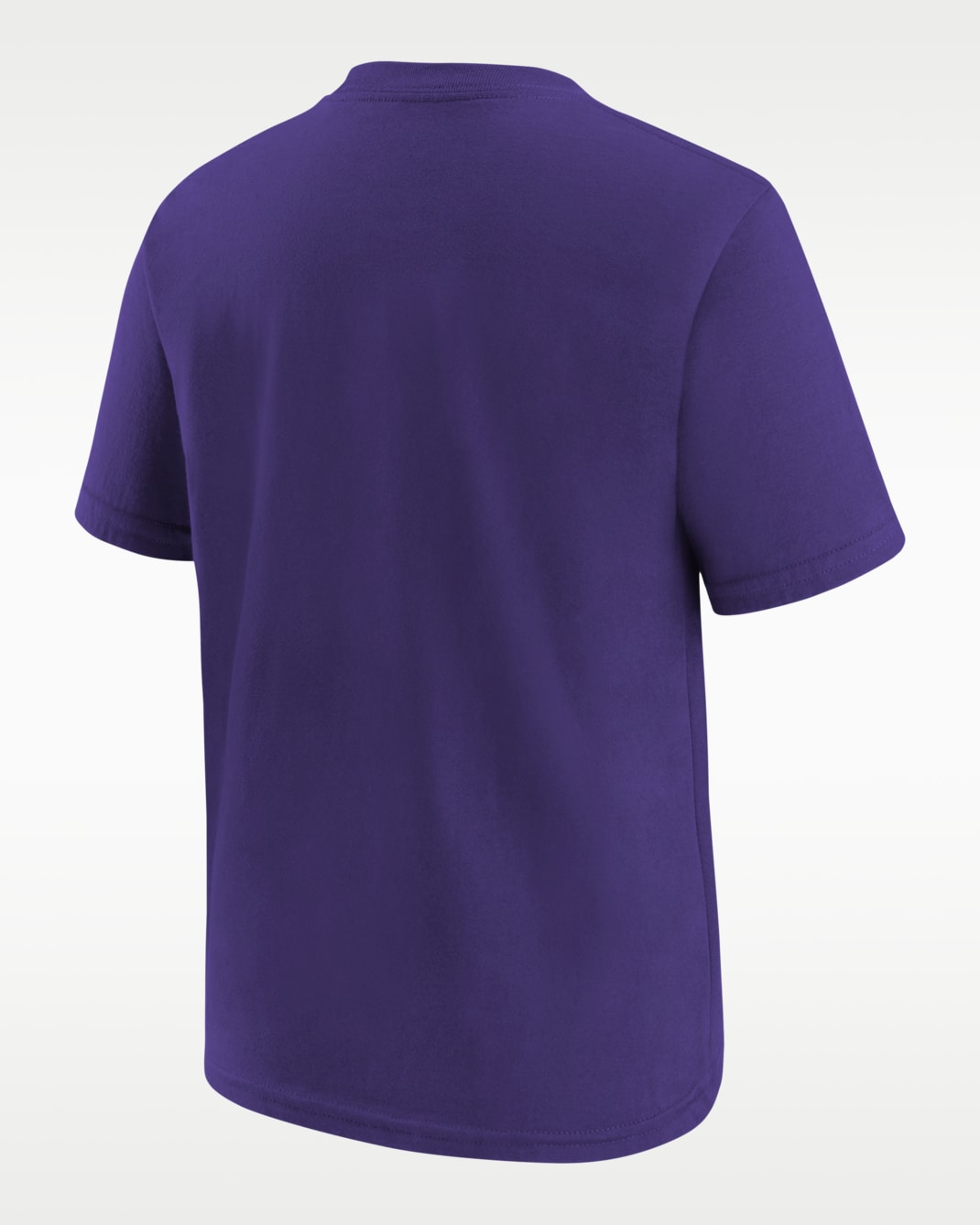 Minnesota Vikings Essential Men's Nike NFL T-Shirt
