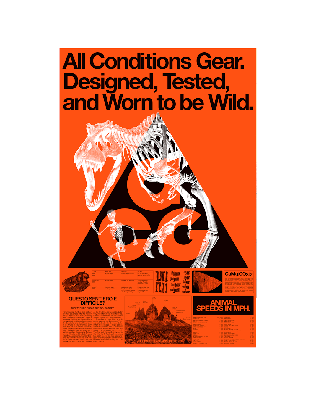 Nike ACG “Fossil” Poster 22" x 34" - Multi-Color