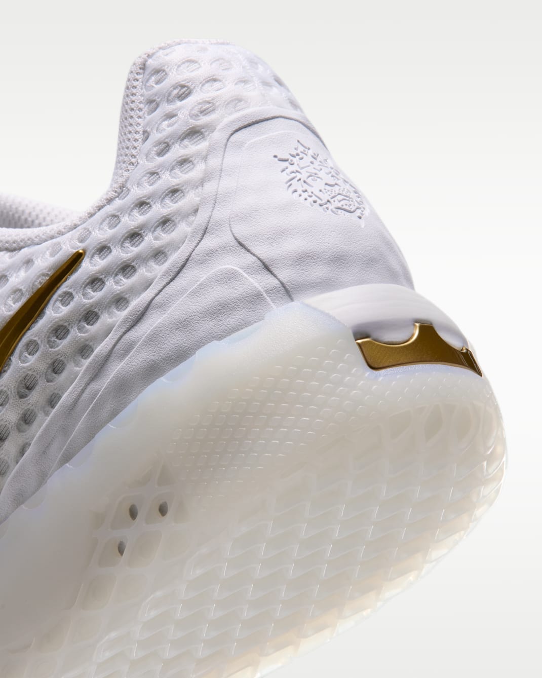 LeBron Witness X Basketball Shoes