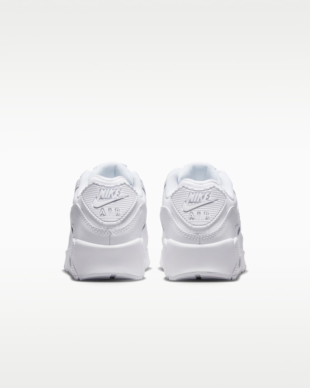 Nike Air Max 90 LTR Big Kids’ Shoes