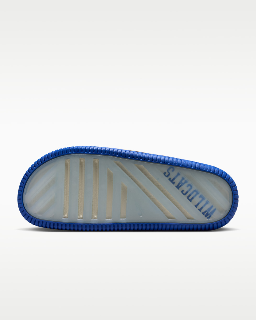 Nike Calm (Kentucky) Men's College Slides