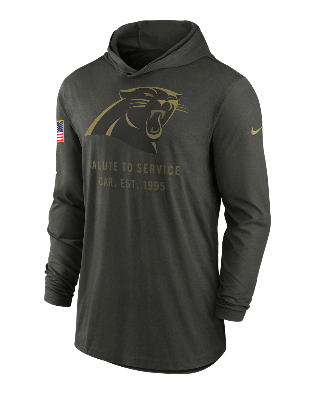 Playera de manga larga Nike Dri-FIT de la NFL con gorro para hombre Carolina Panthers Salute to Service Sideline - Verde bosque