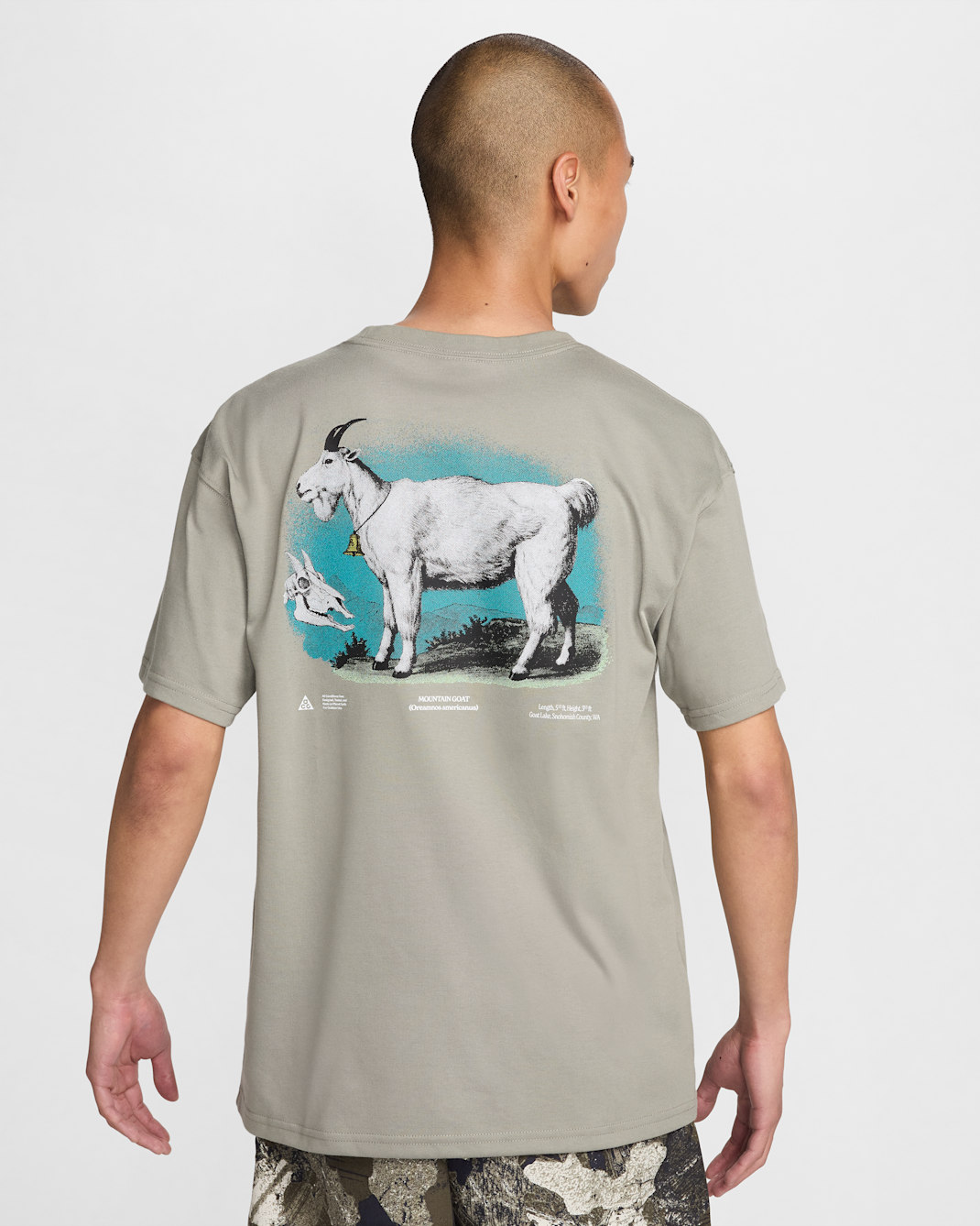 Nike ACG 男款 Dri-FIT T 恤 - Dark Stucco