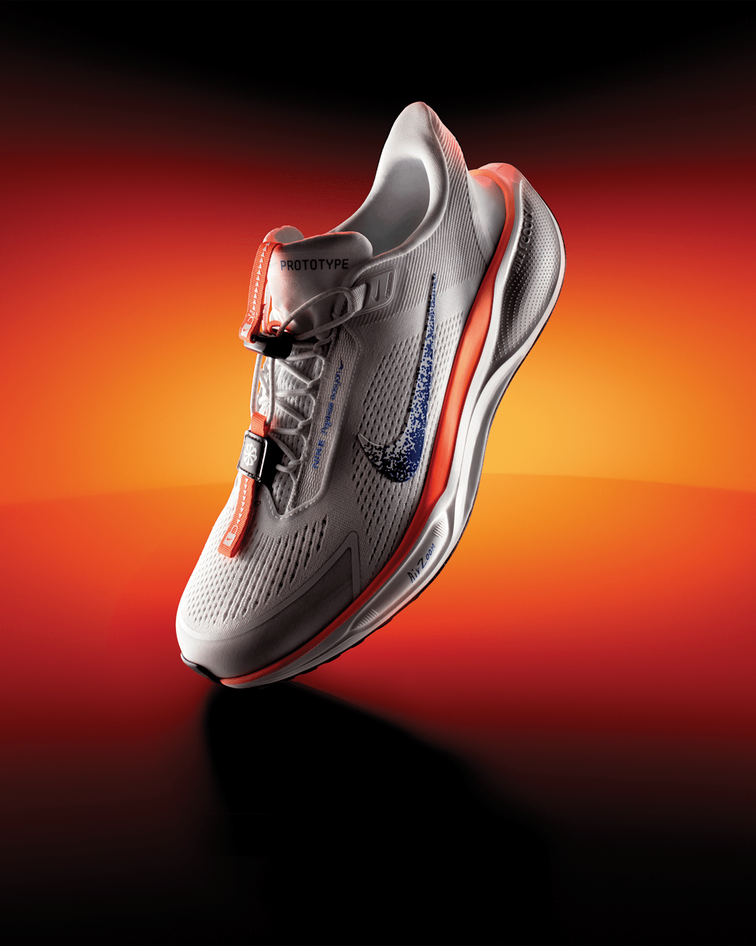 Nike Pegasus EasyOn Blueprint Men's Road Running Shoes - Multi-Colour/Multi-Colour