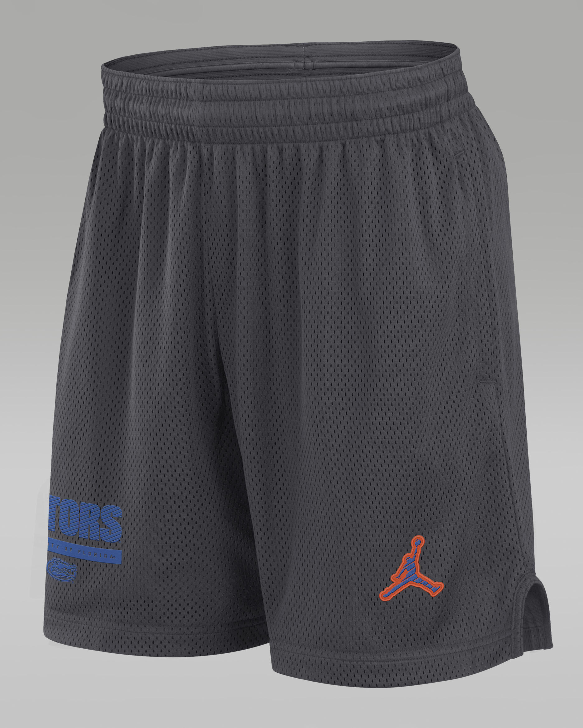 Florida Sideline Men's Jordan Brand Dri-FIT College Shorts - Anthracite