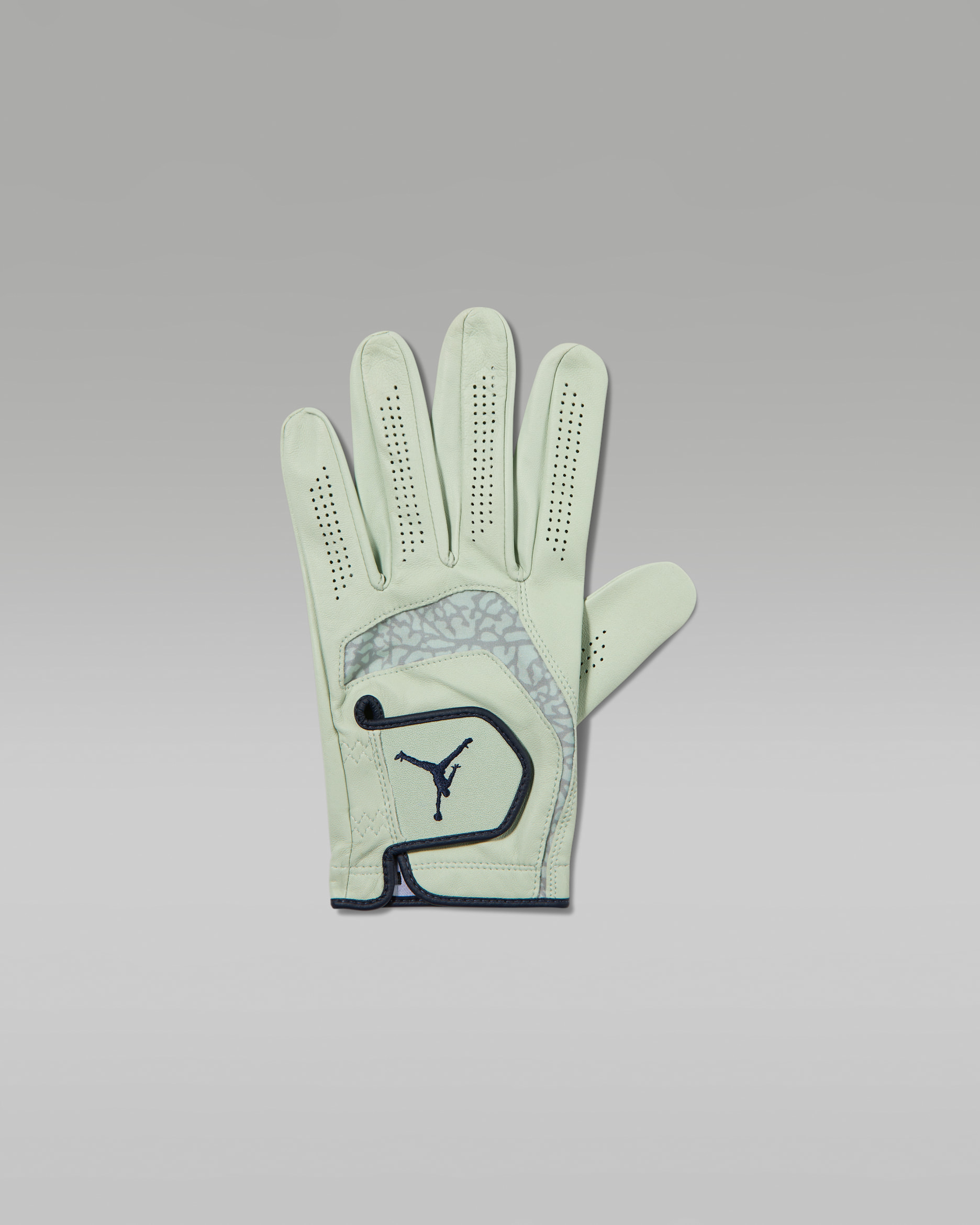 Jordan Tour Golf Glove (Left Cadet) - Pistachio Frost/Pistachio Frost/Obsidian