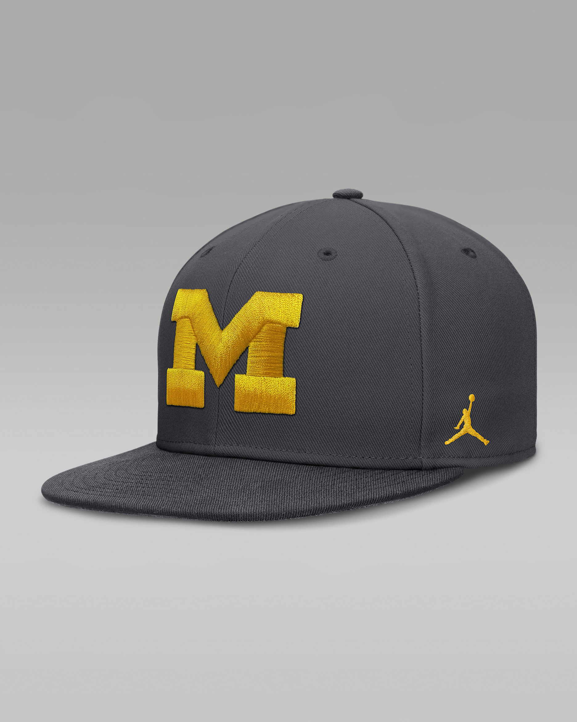 Michigan Pro Men's Jordan Brand Dri-FIT College Fitted Hat - Anthracite