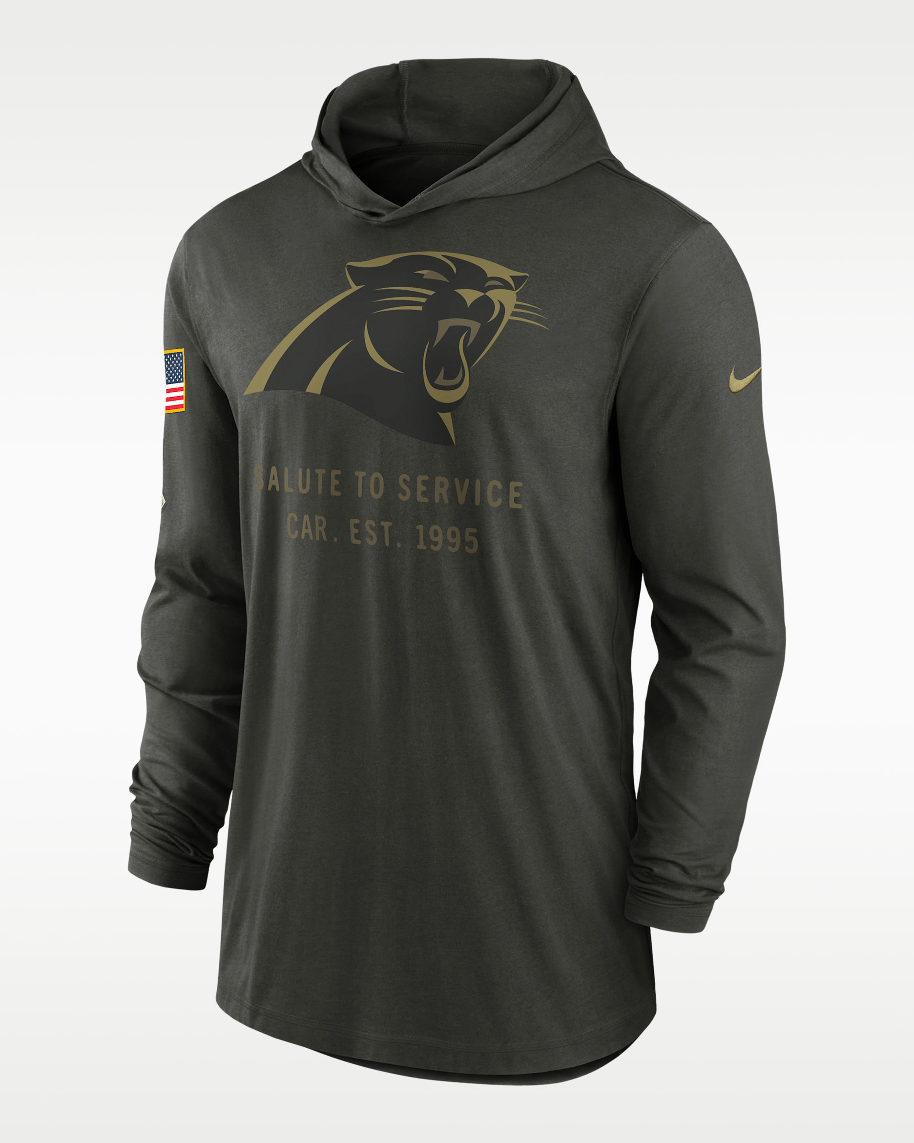 Carolina Panthers Salute to Service Sideline Men’s Nike Dri-FIT NFL Long-Sleeve Hooded Top - Forest Green