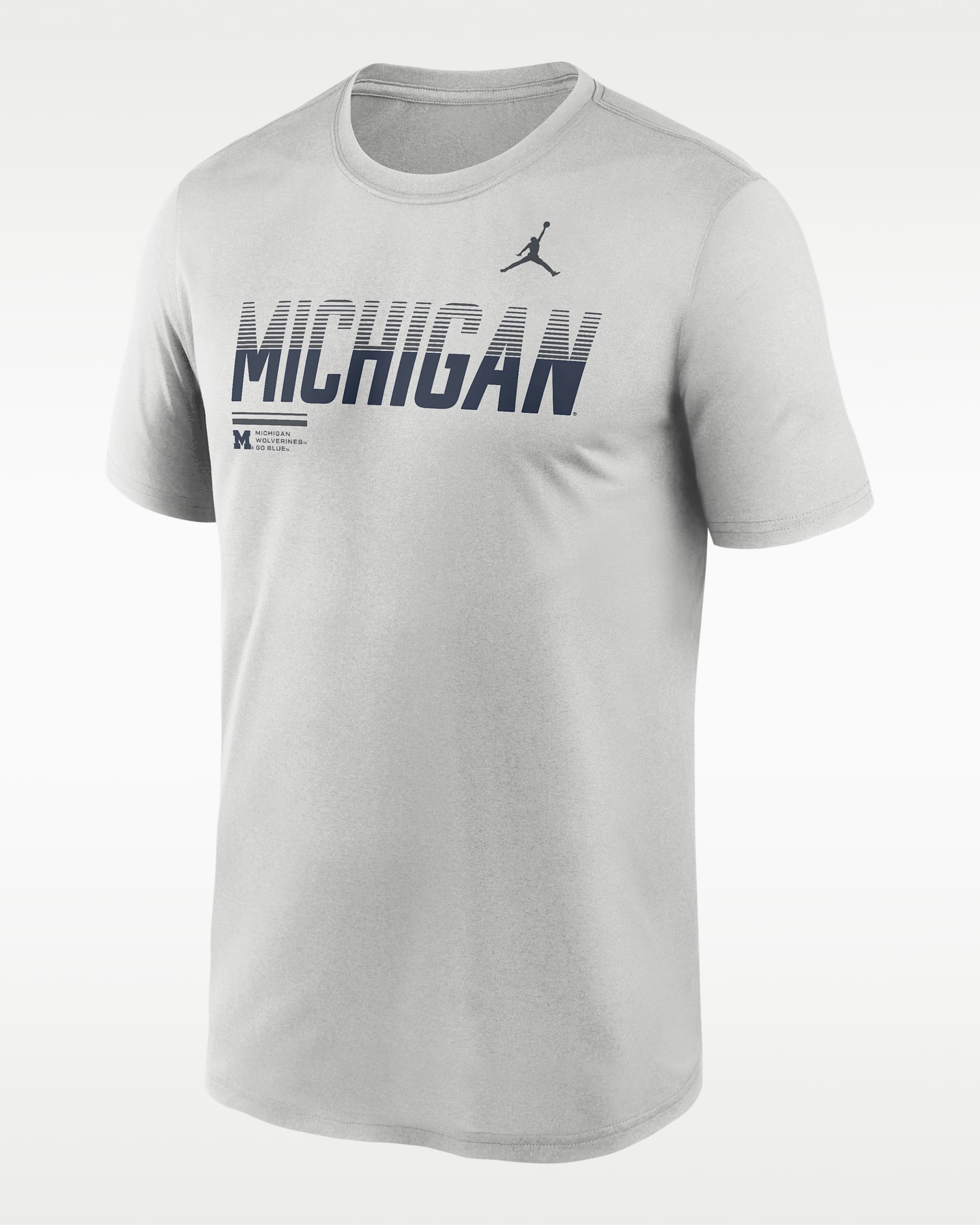 Michigan Sideline Legend Men's Jordan Brand Dri-FIT College T-Shirt - Grey