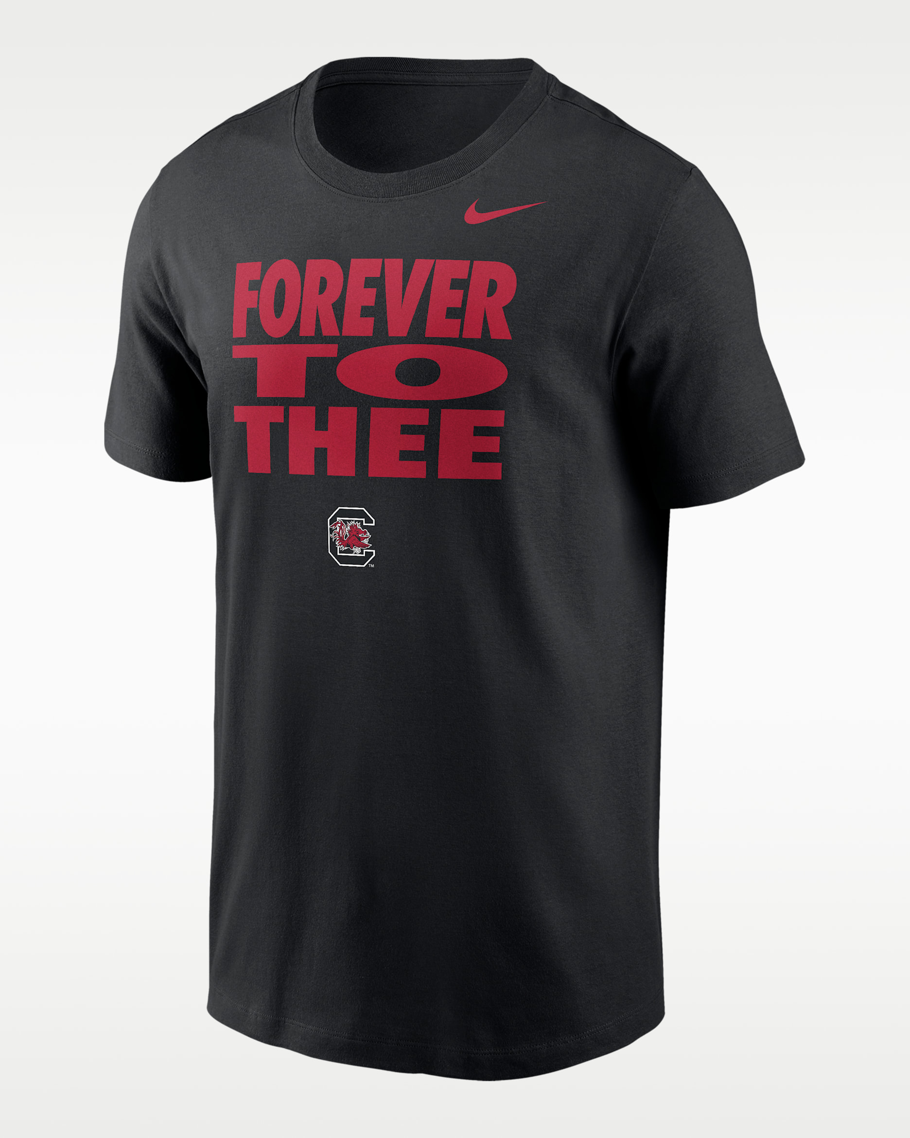 Nike College (South Carolina Gamecocks Men's Dri-FIT T-Shirt - Black