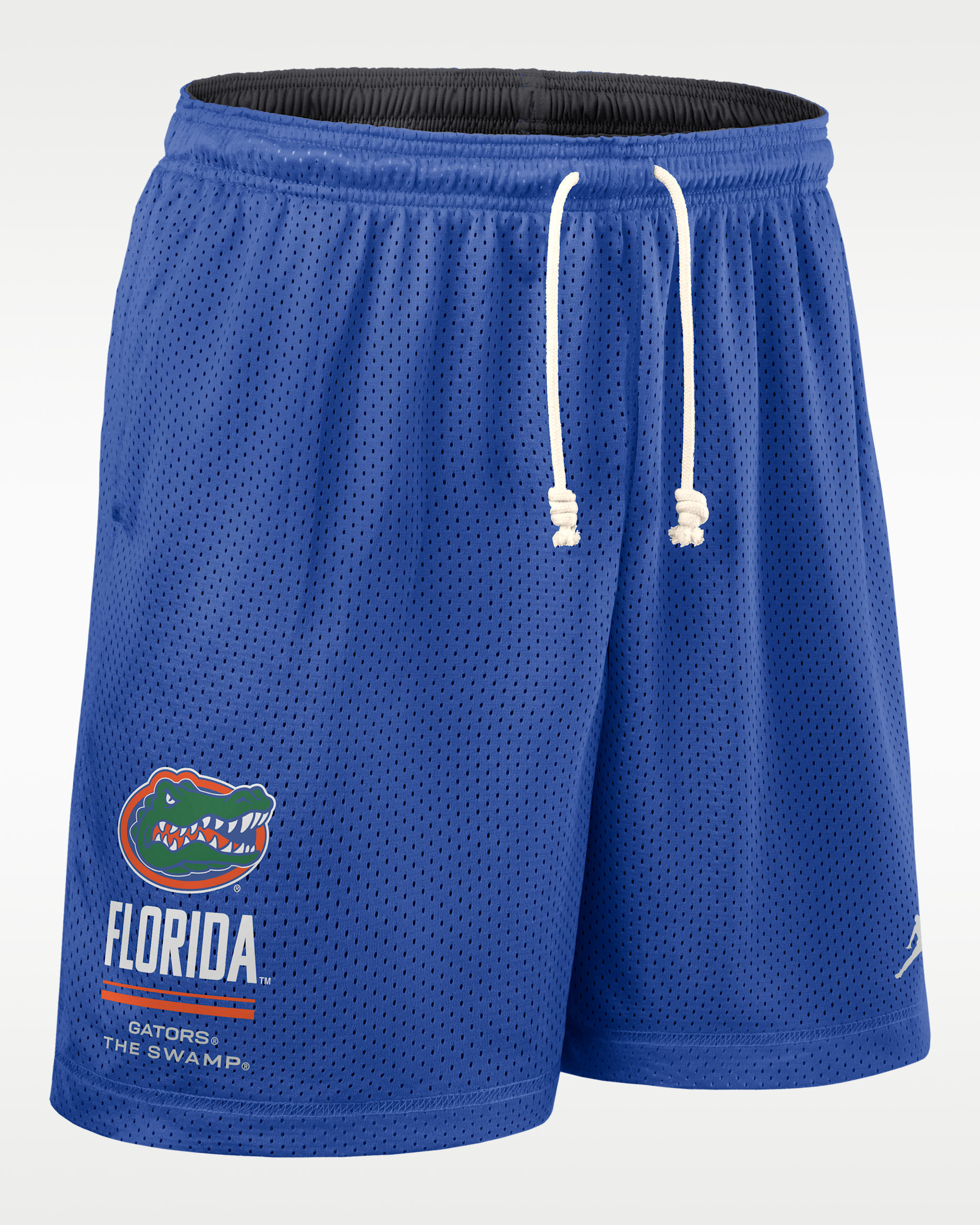 Shorts universitarios Dri-FIT marca Jordan para hombre Florida Sideline Reversible - Royal juego/Antracita