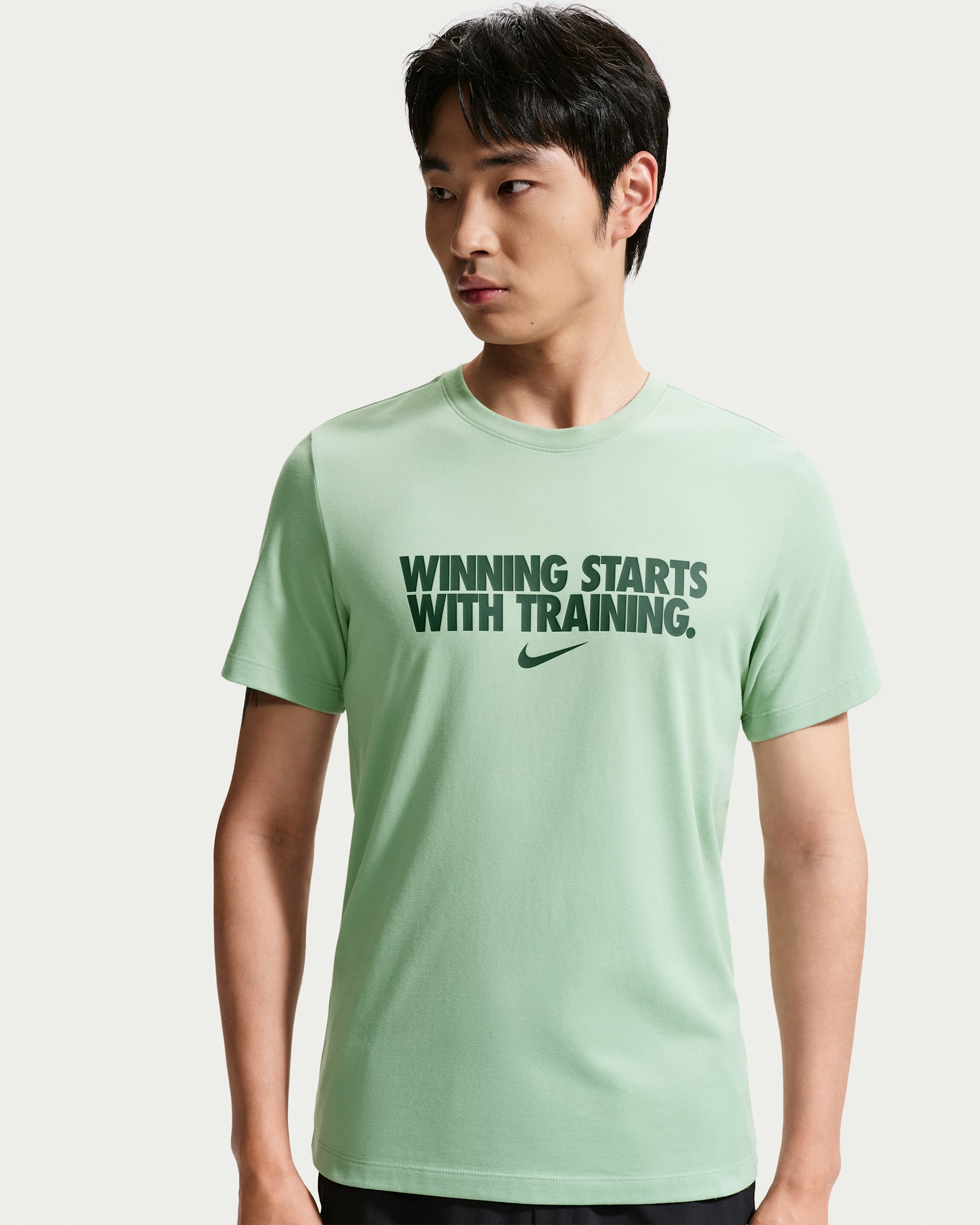 Nike Men's Dri-FIT T-Shirt - Steam/Dark Smoke Grey