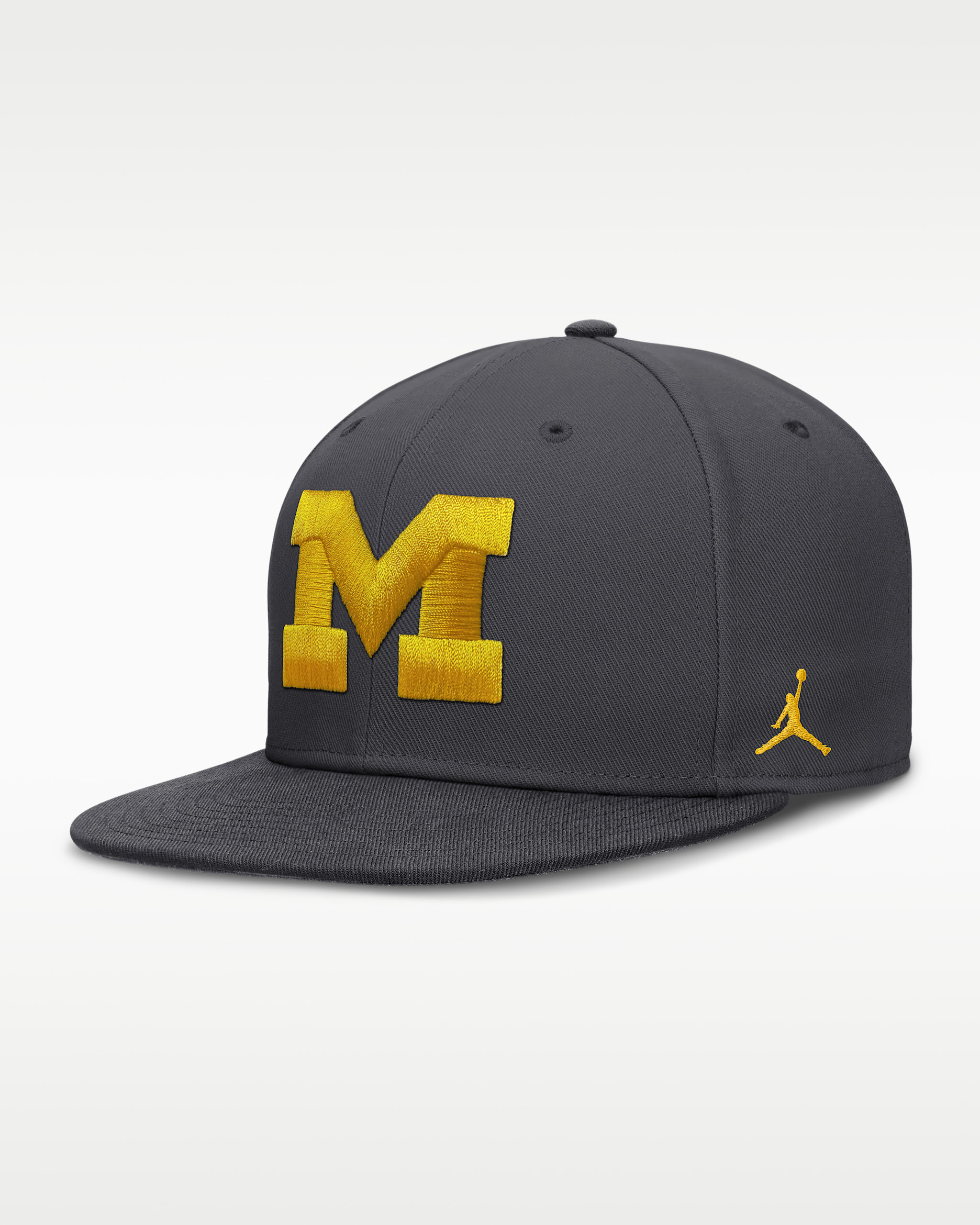 Michigan Pro Men's Jordan Brand Dri-FIT College Fitted Hat - Anthracite