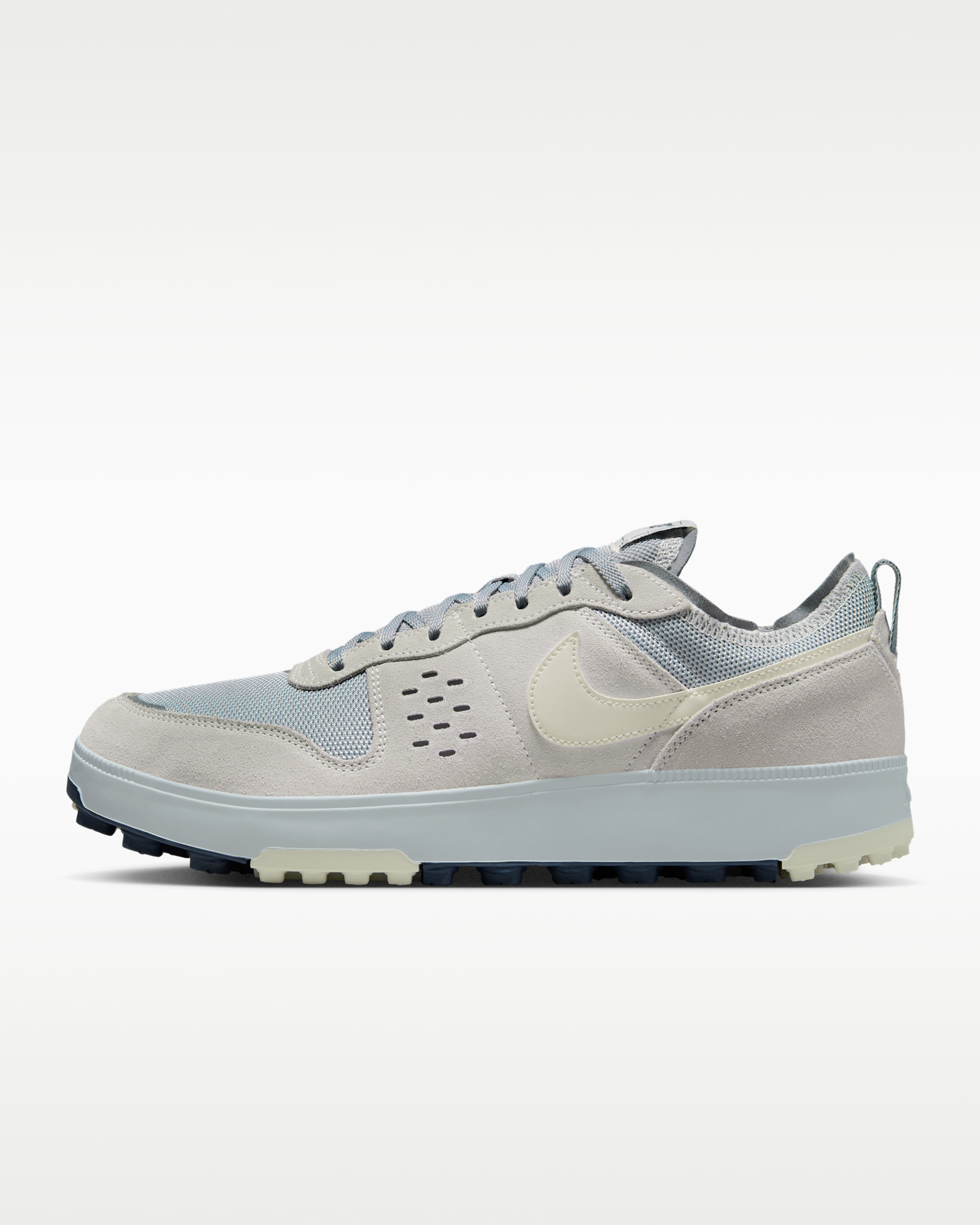 Nike C1TY 'Steel' Shoes - Pure Platinum/Wolf Grey/Cool Grey/Sail