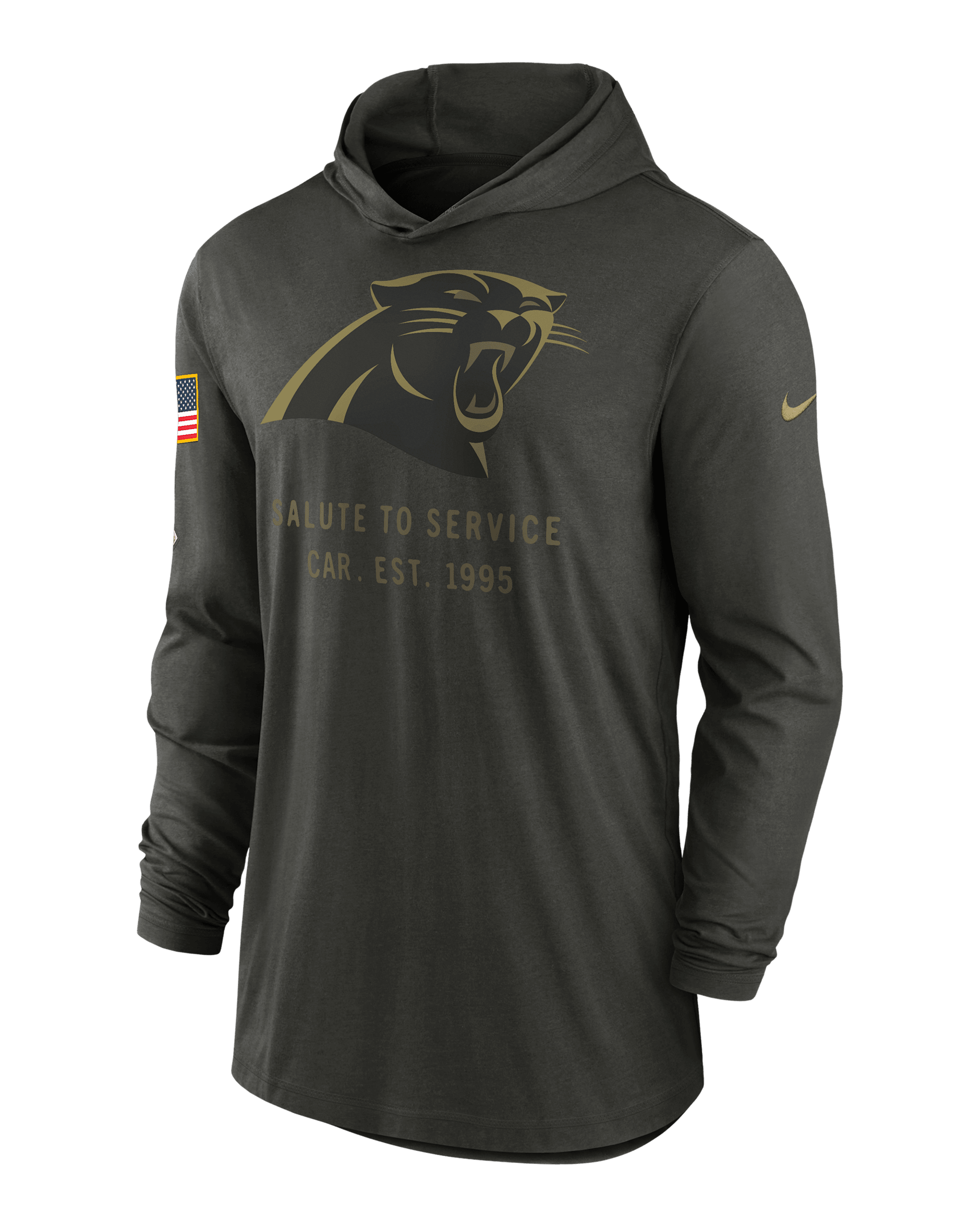 Playera de manga larga Nike Dri-FIT de la NFL con gorro para hombre Carolina Panthers Salute to Service Sideline - Verde bosque