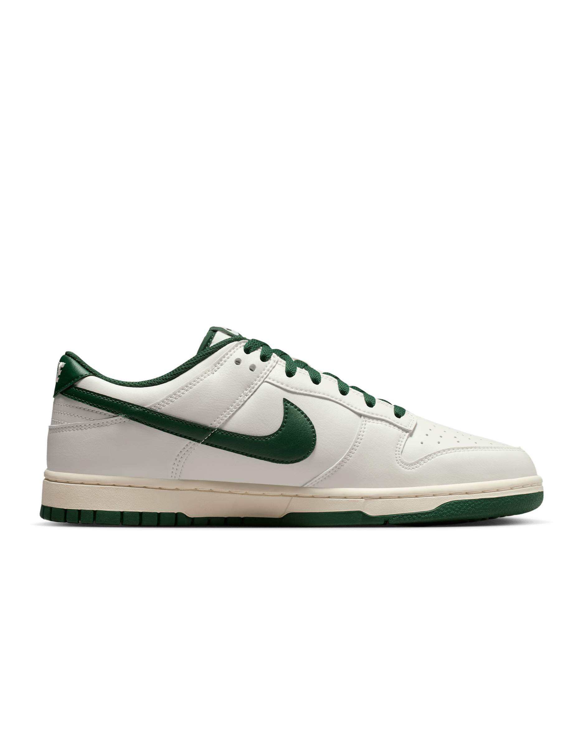 Nike Dunk Low Retro Men's Shoes