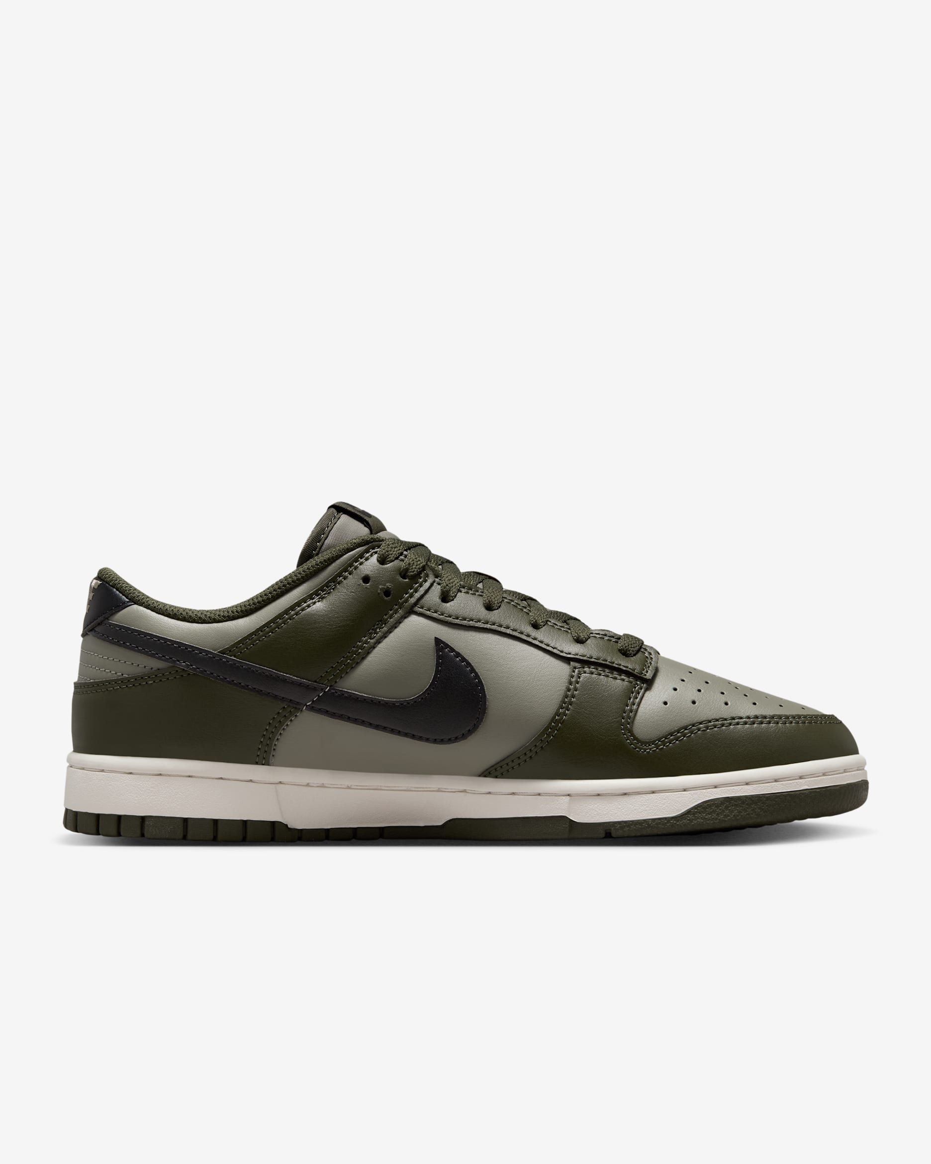 Nike Dunk Low Retro Men's Shoes