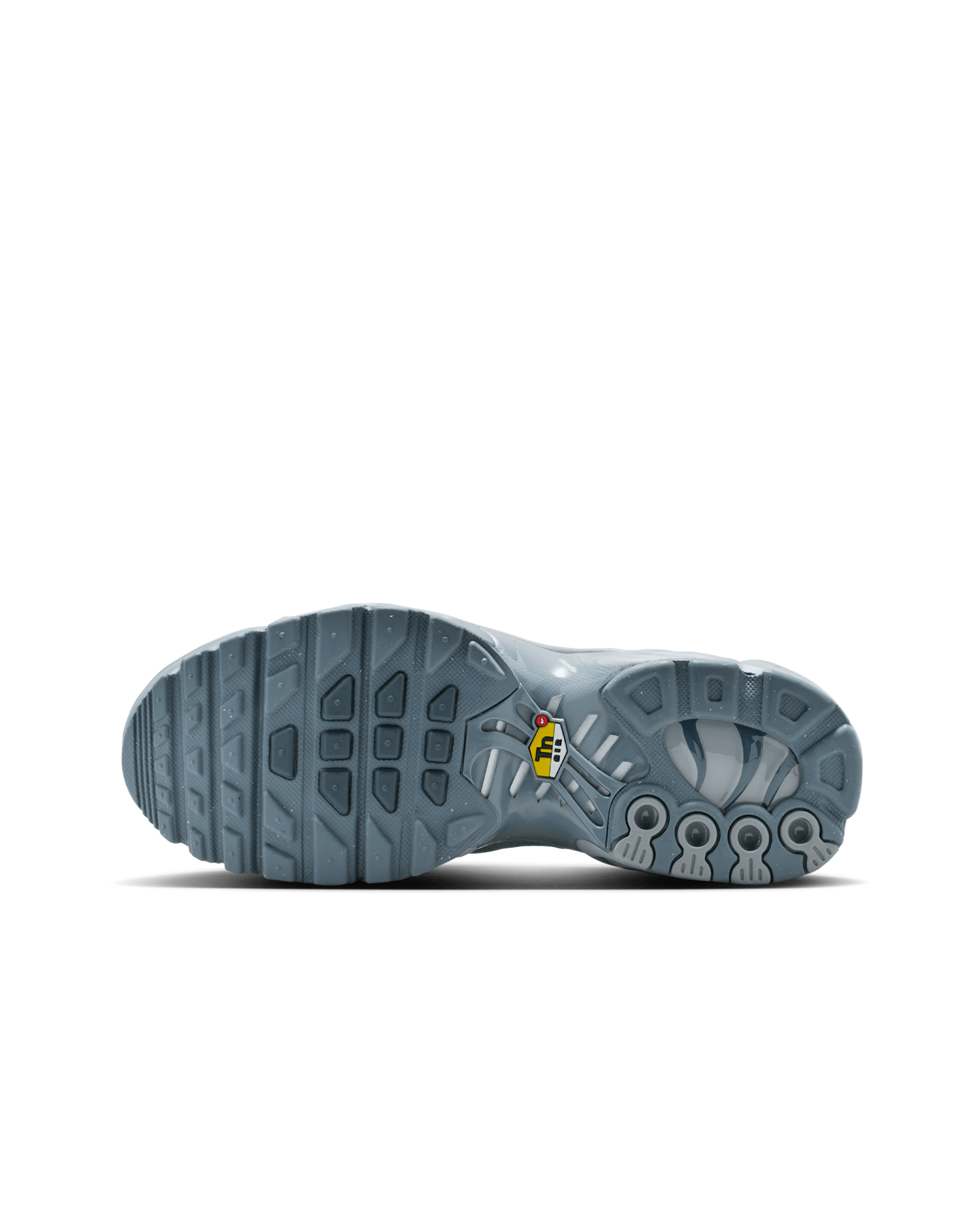 Nike Air Max Plus Big Kids' Shoes
