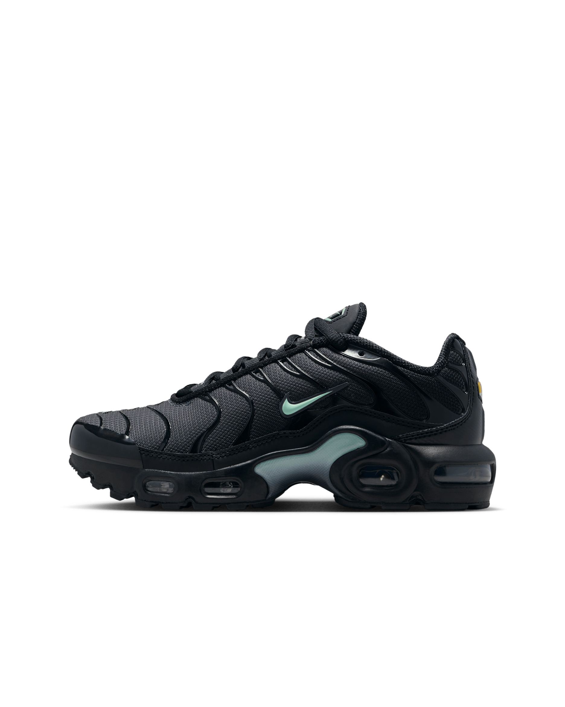 Nike Air Max Plus Genç Çocuk Ayakkabısı - Siyah/Dark Smoke Grey/Mint Foam
