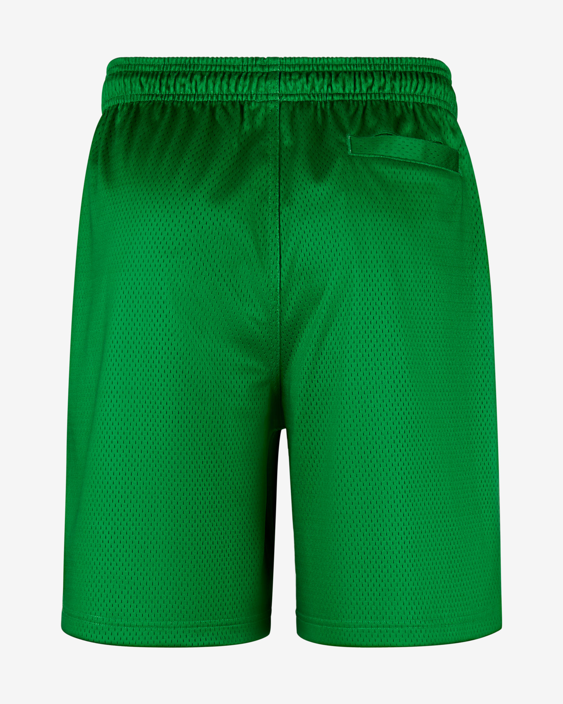 Nike "Grateful Duck" Men's Mesh Shorts