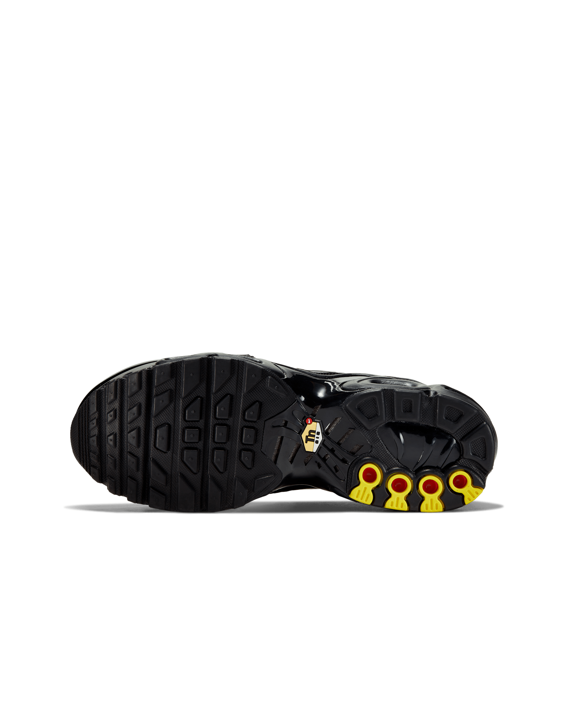 Nike Air Max Plus Big Kids' Shoes