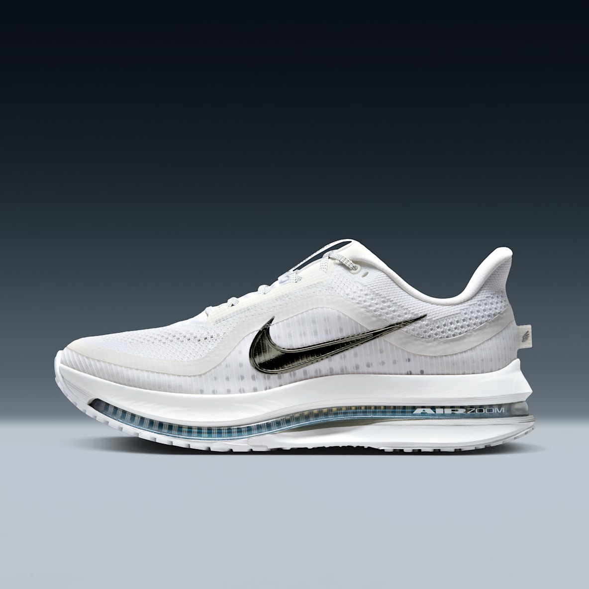 Nike Pegasus Premium Nike Pegasus Premium Men's Road Running Shoes