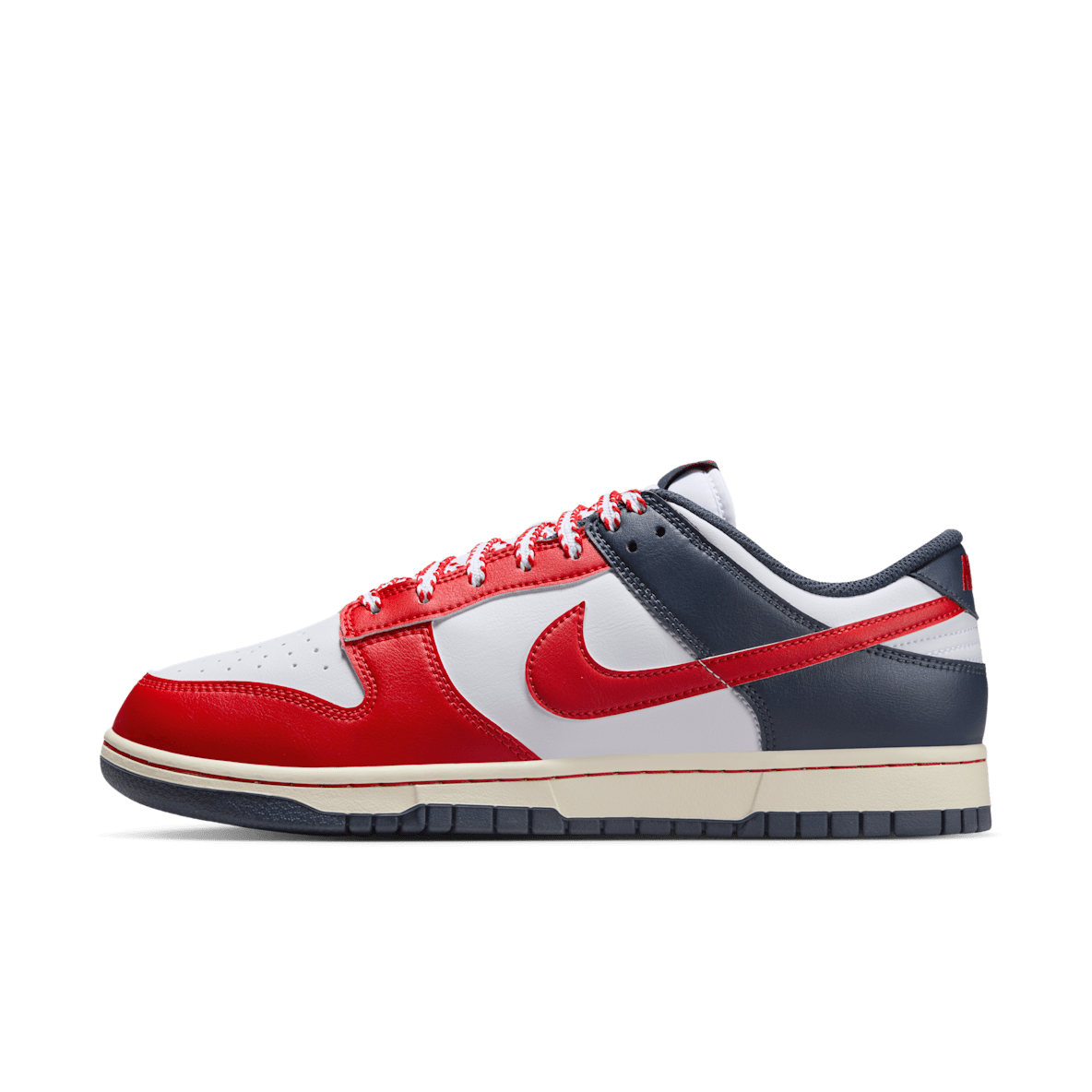 Nike Dunk Low Retro Men's Shoes