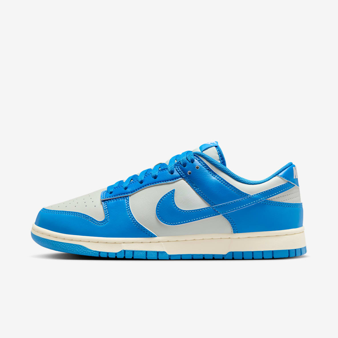 Nike Dunk Low Retro Men's Shoes