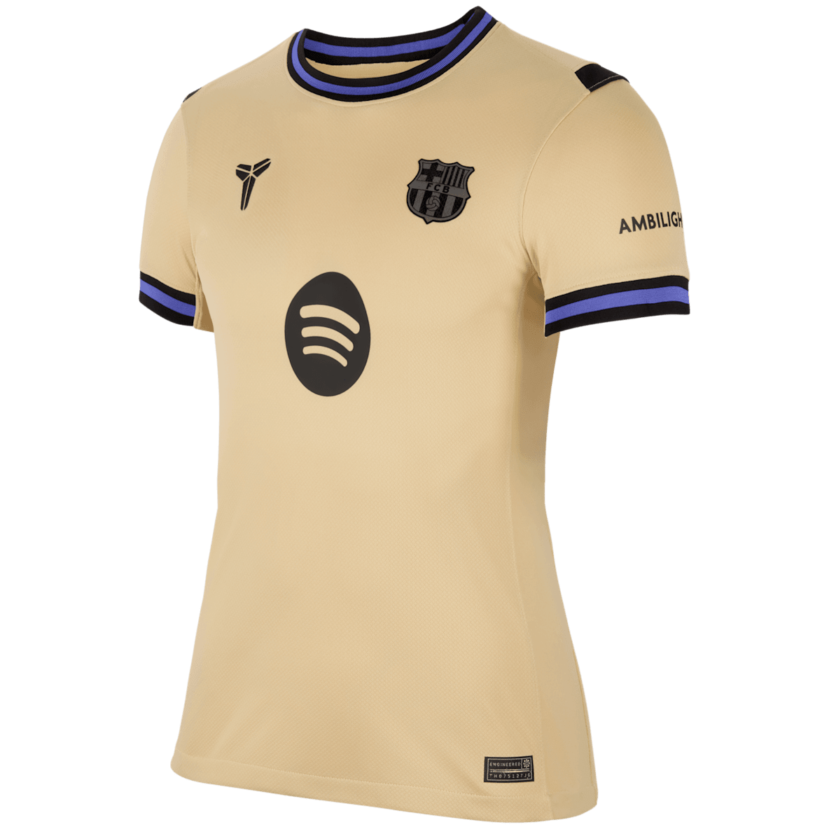 Raphinha Barcelona 2025/26 Stadium Away Raphinha Barcelona 2025/26 Stadium Away Women's Nike Dri-FIT Soccer Jersey