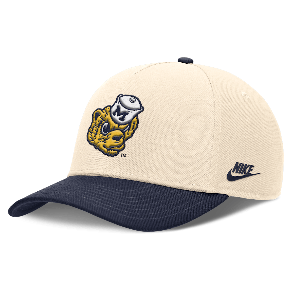 Michigan Primetime Rise Academic Michigan Primetime Rise Academic Men's Nike Dri-FIT College Adjustable Hat